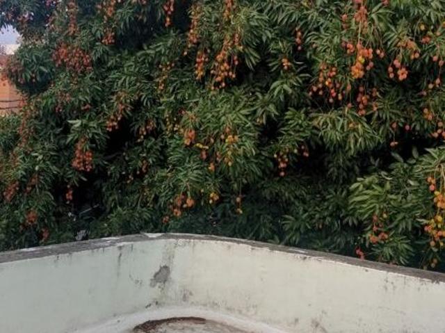 Land for sale in Kedarpur, Uttarakhand
