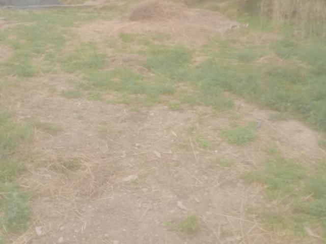 Land for sale in Uttarakhand