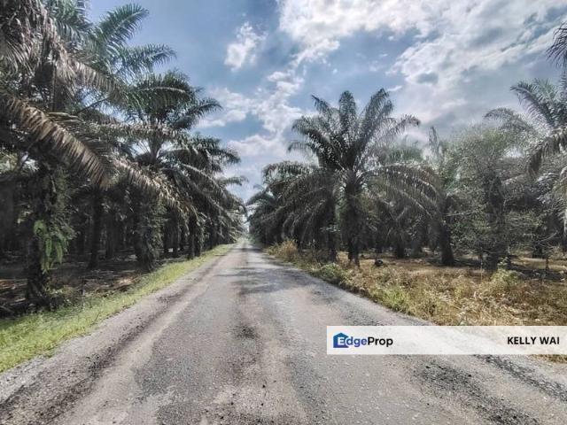 Shop for sale in Batu Pahat, Johor