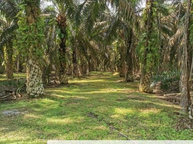 Shop for sale in Layang-layang, Johor