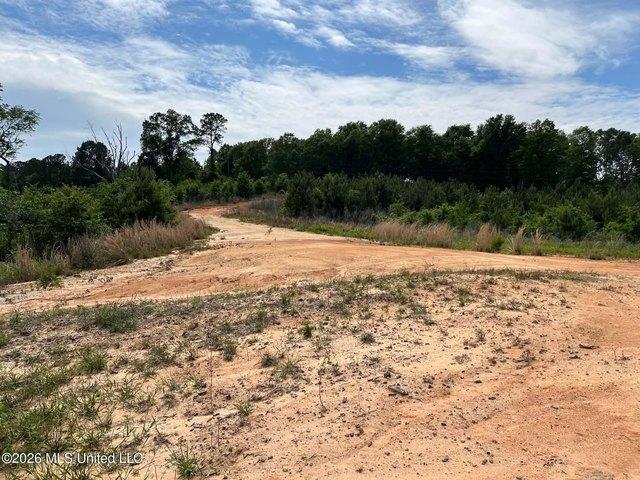 Land for sale in Mendenhall, Mississippi