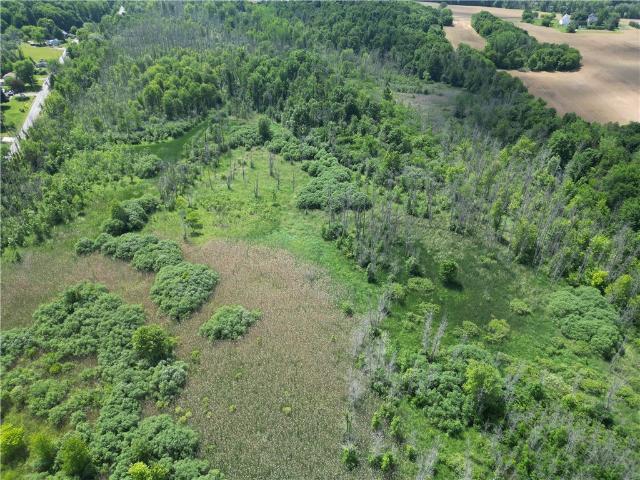 Land for sale in Lyons, New York