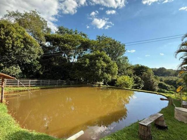 Sítio e chácara venda em Região Imediata de Ribeirão Preto, Região Metropolitana de Ribeirão Preto