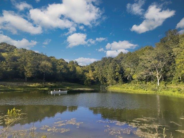 Farm for sale in Tennessee