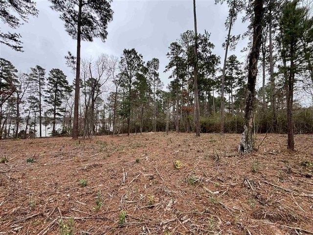 Land for sale in Many, Louisiana