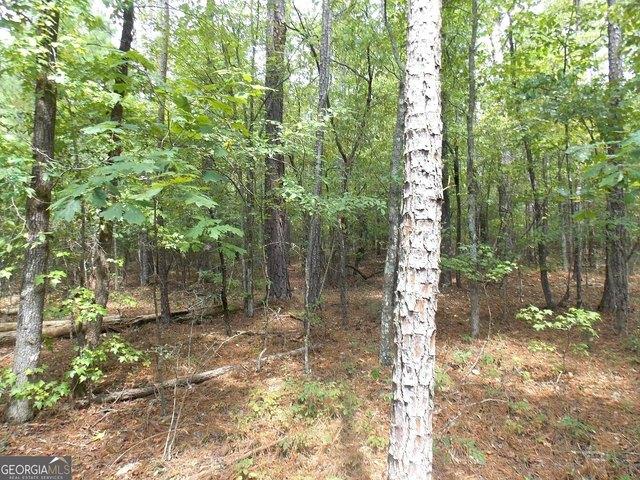 Land for sale in Tignall, Georgia