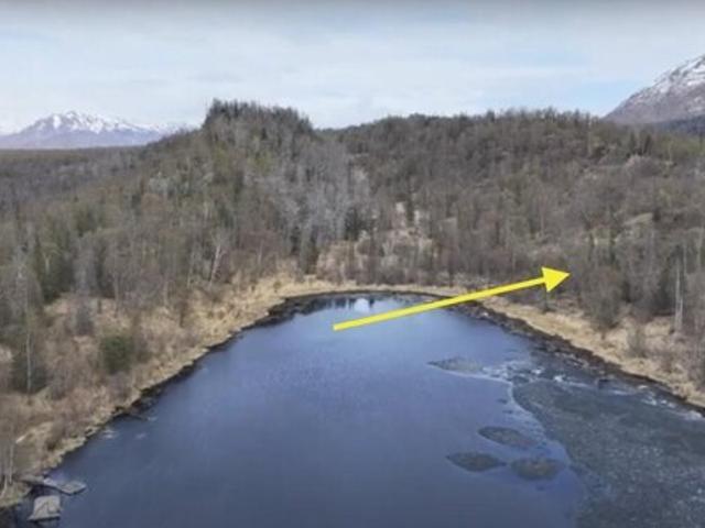 Land for sale in Palmer