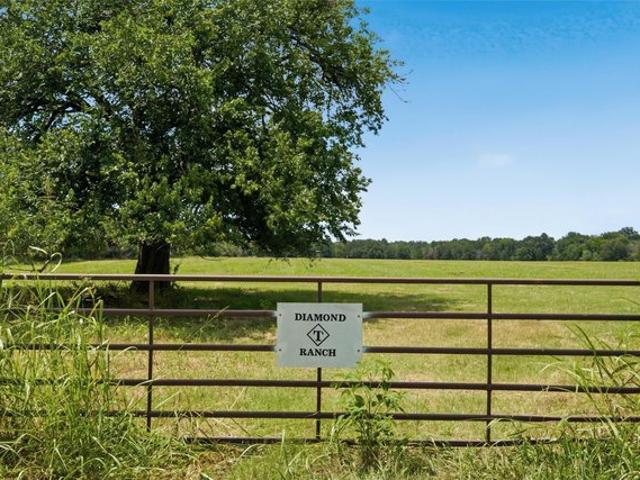 Land for sale in Limestone, Texas