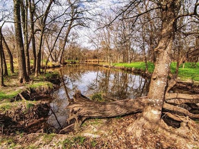 Land for sale in Limestone, Texas