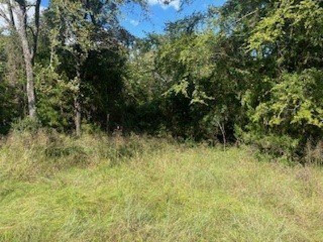 Land for sale in Leon, Texas