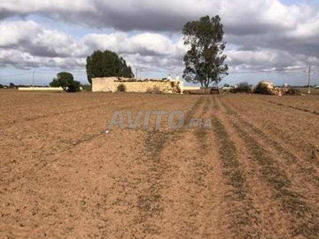 Propriété vente à El Ma, Gharb-Chrarda-Beni Hssen