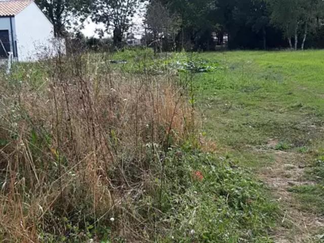 Terrain vente à Le Bernard, Vendée