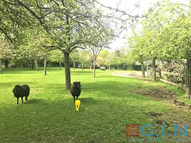 Terrain vente à Rouen, Le Bocasse