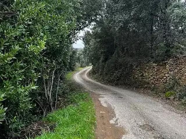 Terrain vente à Lodève, Le Bosc