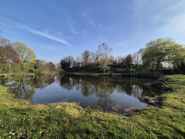 Terrain vente à Laval, Le Bourgneuf-la-forêt