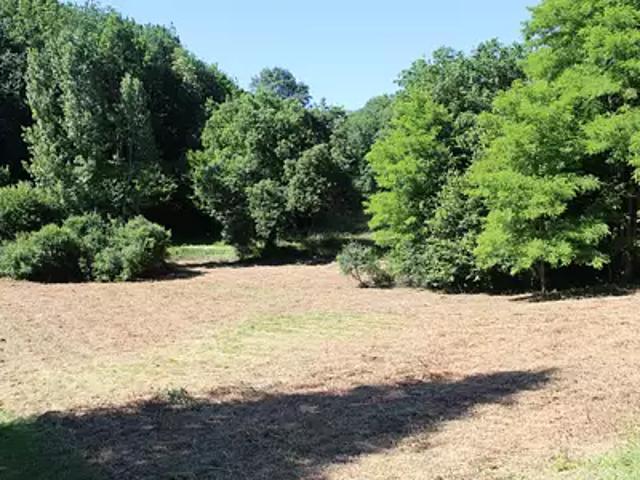 Terrain vente à Bergerac, Le Buisson-de-cadouin