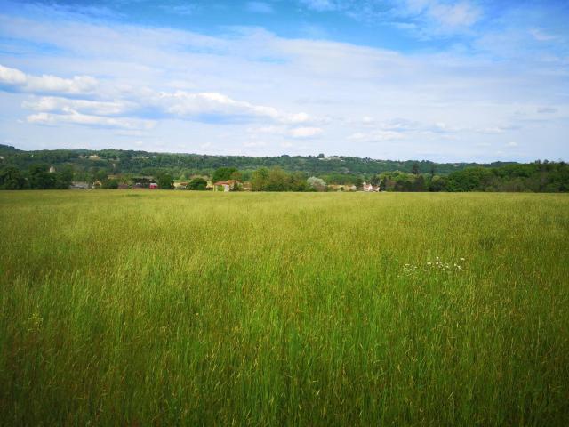 Terrain vente à Le Buisson-de-cadouin