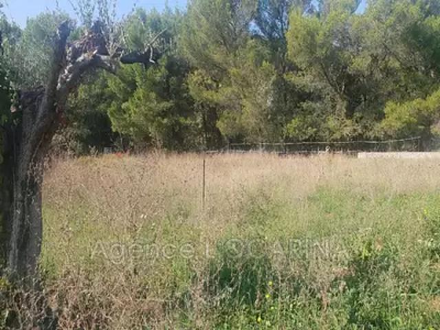 Terrain vente à Grasse, Le Cannet