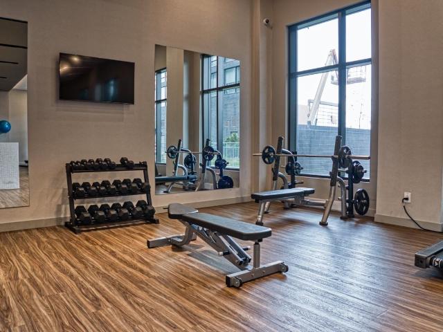 Apartment for rent in Mont-royal, Quebec