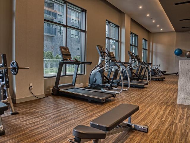 Apartment for rent in Mont-royal, Quebec