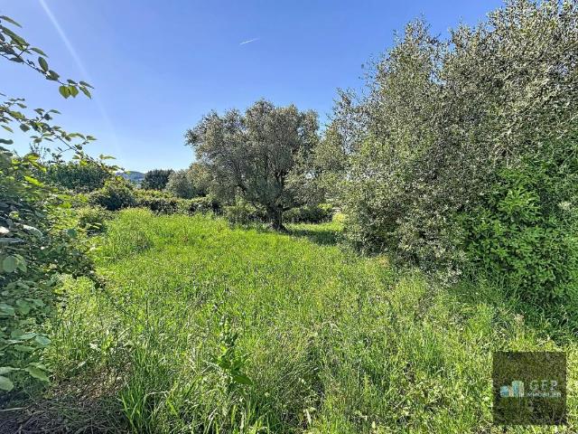 Terrain vente à Arrondissement de Toulon, Le Castellet