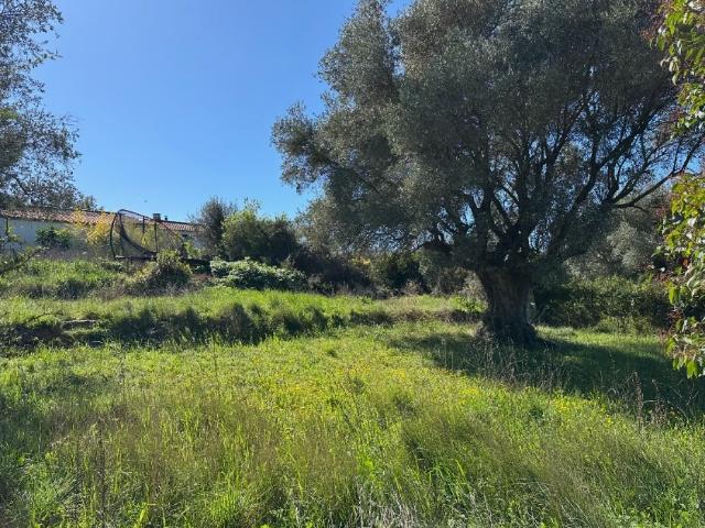 Maison vente à Arrondissement de Toulon, Le Castellet