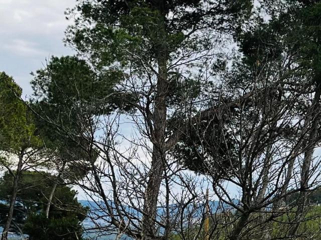 Maison vente à Le Castellet, Var