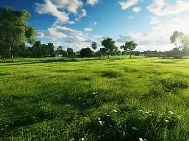 Terrain vente à France métropolitaine, Le Champ-saint-père