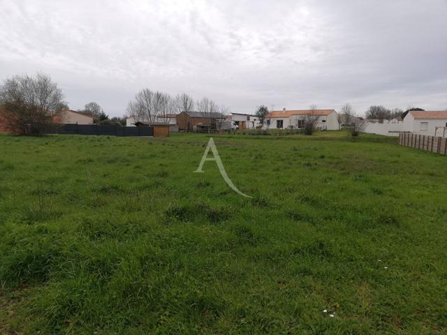 Terrain vente à Les Sables-d'Olonne, Le Champ-saint-père