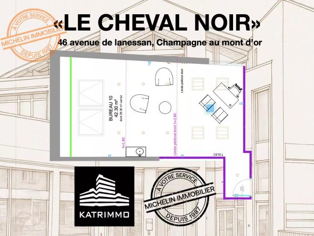 Bureau vente à Lyon, Métropole de Lyon