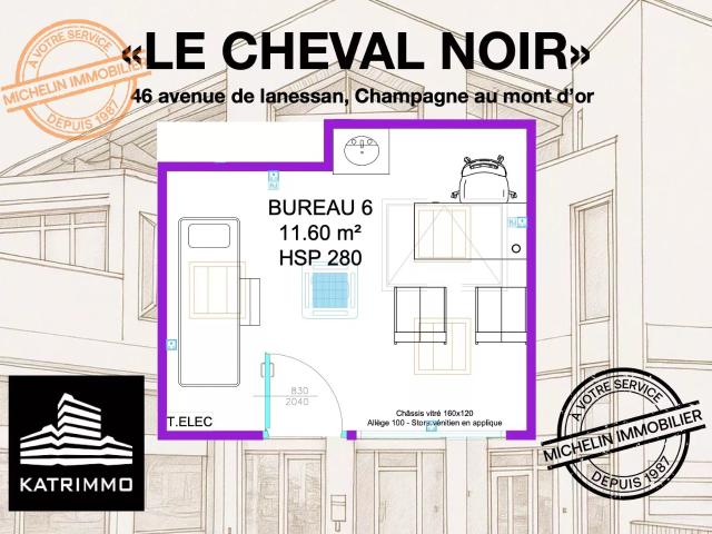 Bureau vente à Lyon, Métropole de Lyon