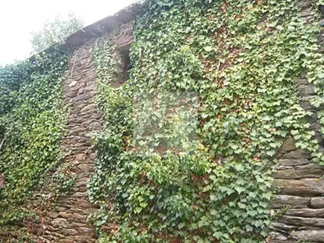 Maison vente à Florac, Le Collet-de-dèze