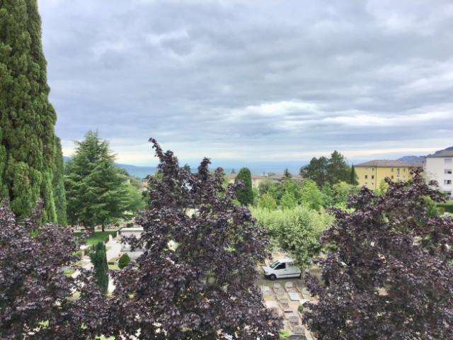 Wohnung mieten in La Tour-de-Peilz, Waadt