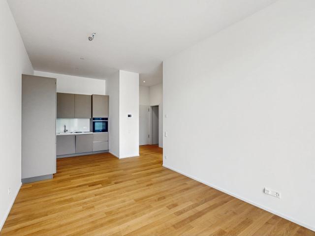Apartment mieten in Locarno, Tessin