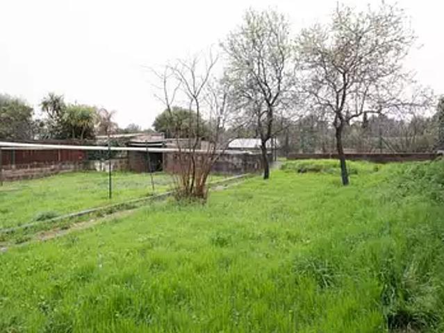 Maison vente à Montpellier, Le Crès