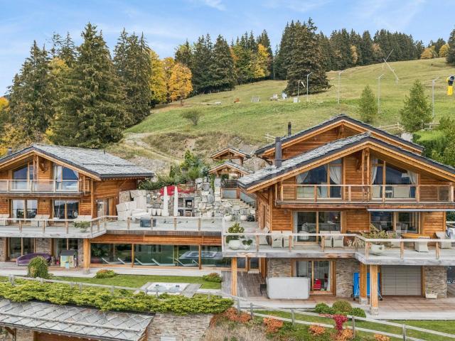 Haus kaufen in Gryon, District d'Aigle