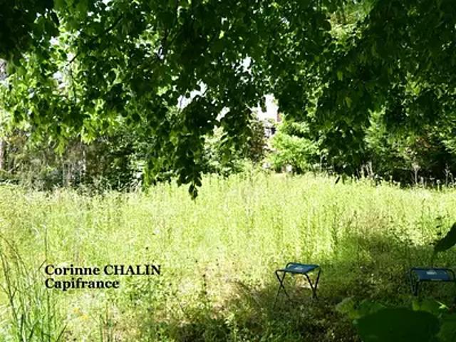 Maison vente à Vichy, Le Donjon