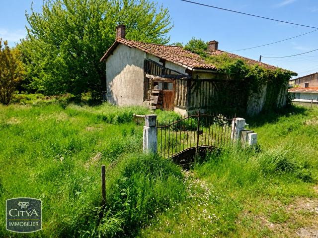 Maison vente à Libourne, Le Fieu