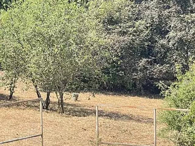 Terrain vente à Muret, Le Fousseret