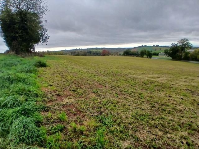 Terrain vente à Albi, Le Fraysse