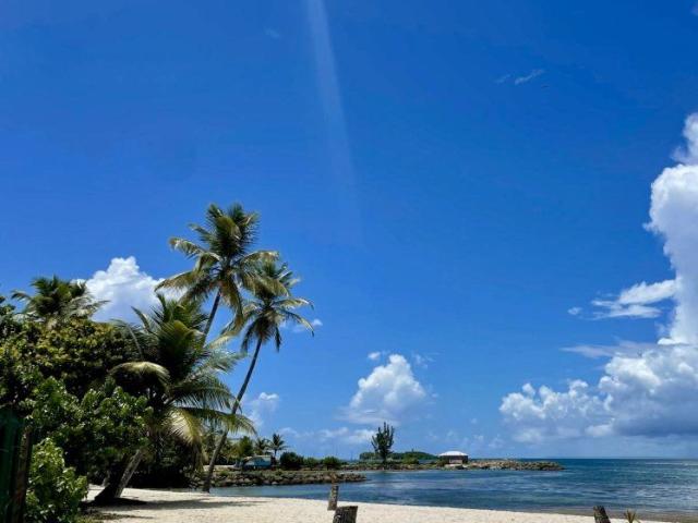 Appartement location à Guadeloupe