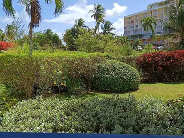 Appartement location à Guadeloupe