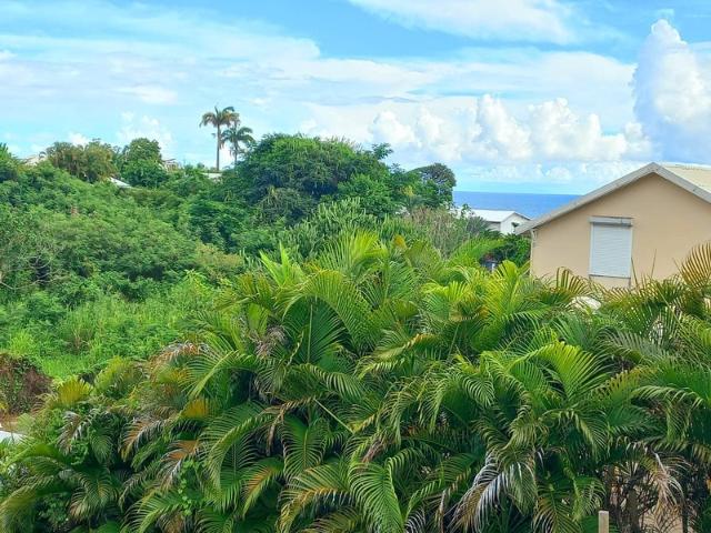 Villa vente à Guadeloupe