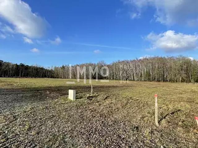 Terrain vente à La Flèche, Le Grand-lucé