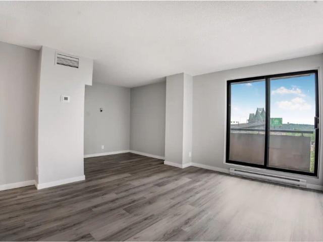 Apartment for rent in Ville-Marie, Montréal