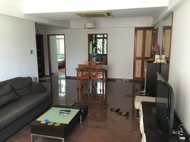 Apartment for rent in Queenstown, 05 South West