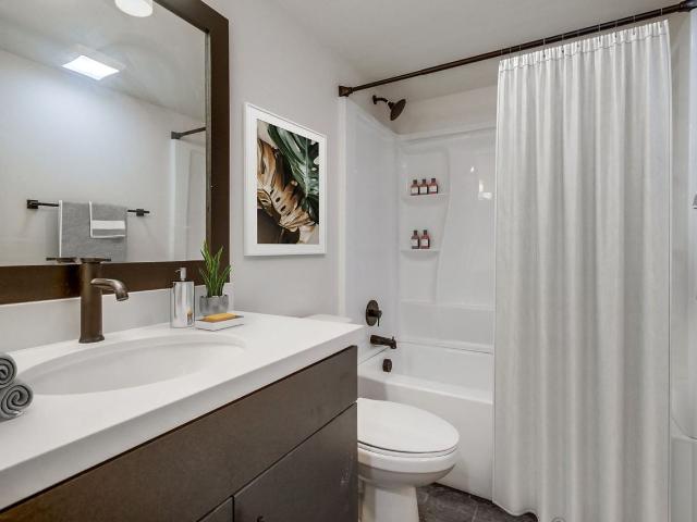Apartment for rent in Jacumba, California