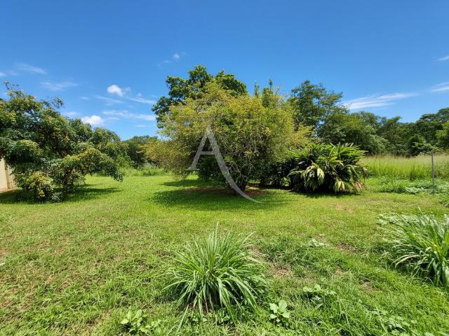 Maison location à Martinique