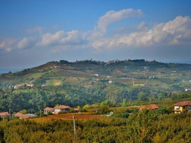 Terreno in vendita a Piemonte, Cuneo