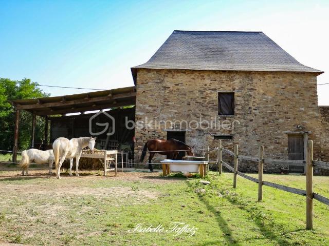 Château vente à France métropolitaine, Le Lion-d'angers